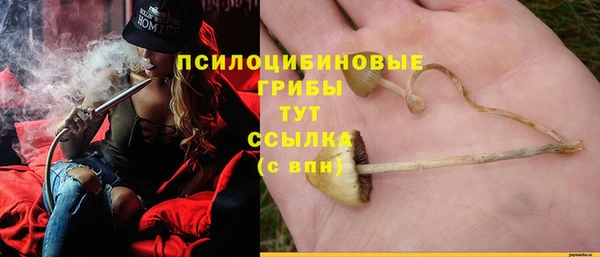 стаф Верхний Тагил