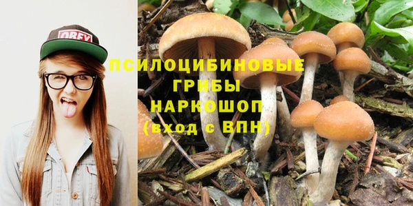 стаф Верхний Тагил
