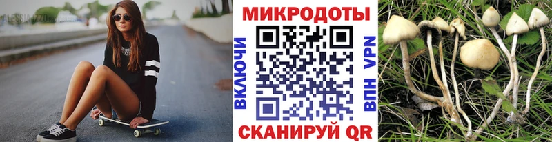 Купить  Мглин  Псилоцибиновые грибы GOLDEN TEACHER 